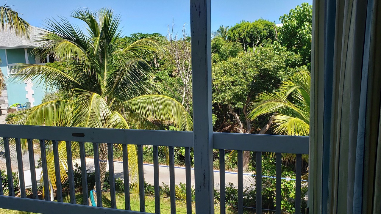 Photo of Others in Man O War Cay