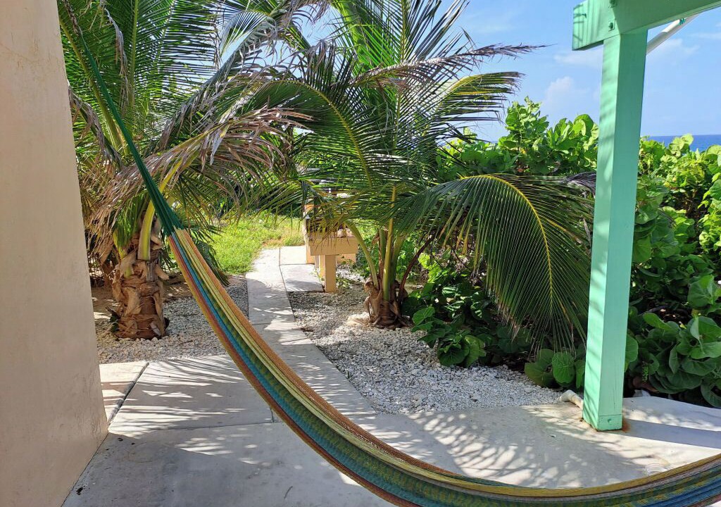 Photo of Outdoor in Salt Pond