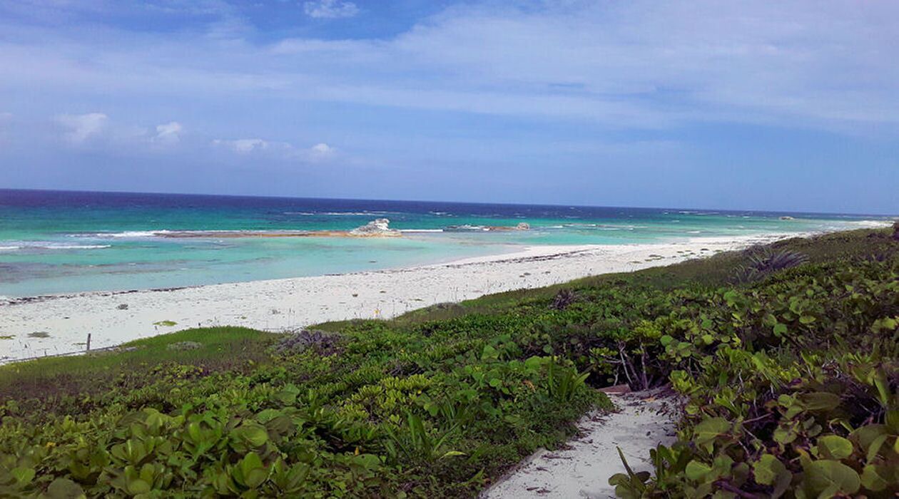 Photo of Others in Salt Pond