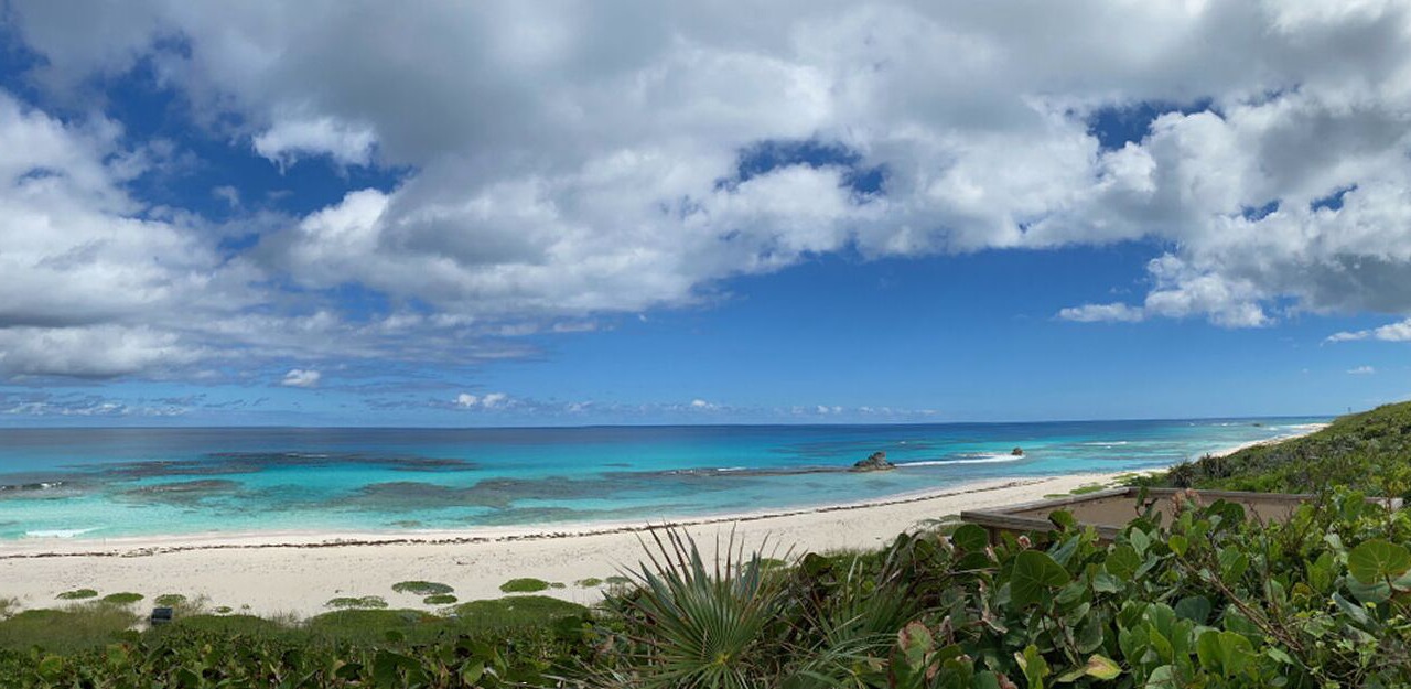 Photo of Others in Salt Pond