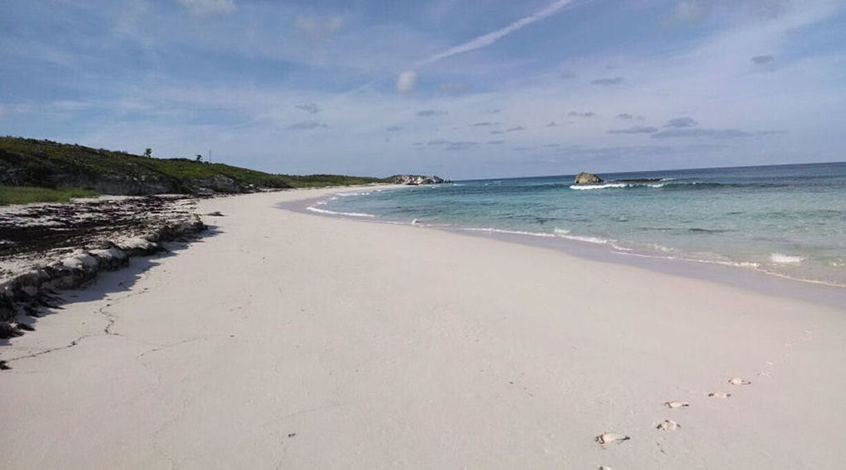 Photo of Others in Salt Pond