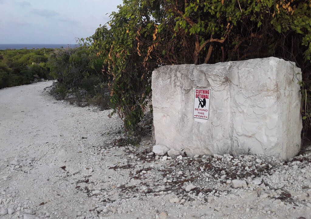 Photo of Others in Salt Pond