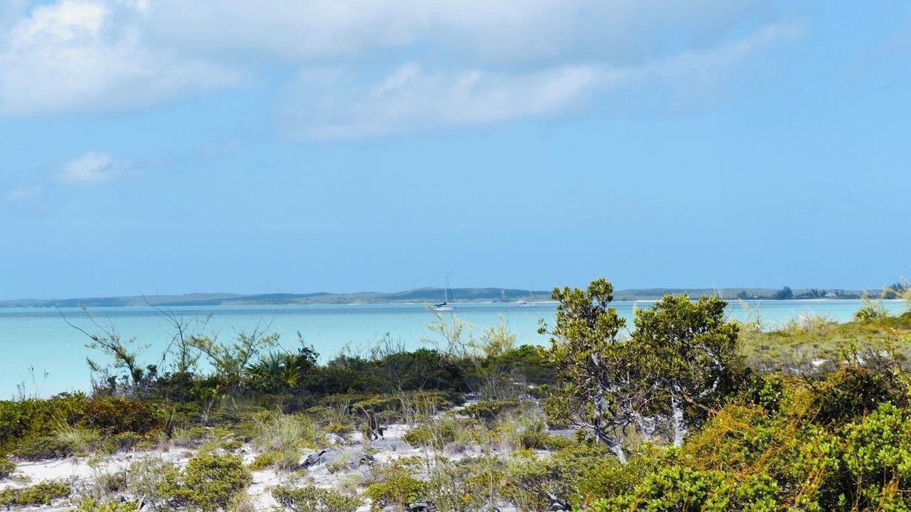 Photo of Others in Old Bight