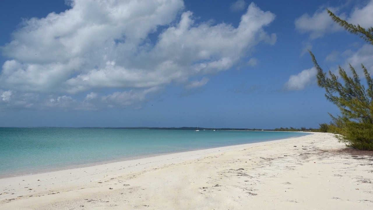 Photo of Others in Old Bight