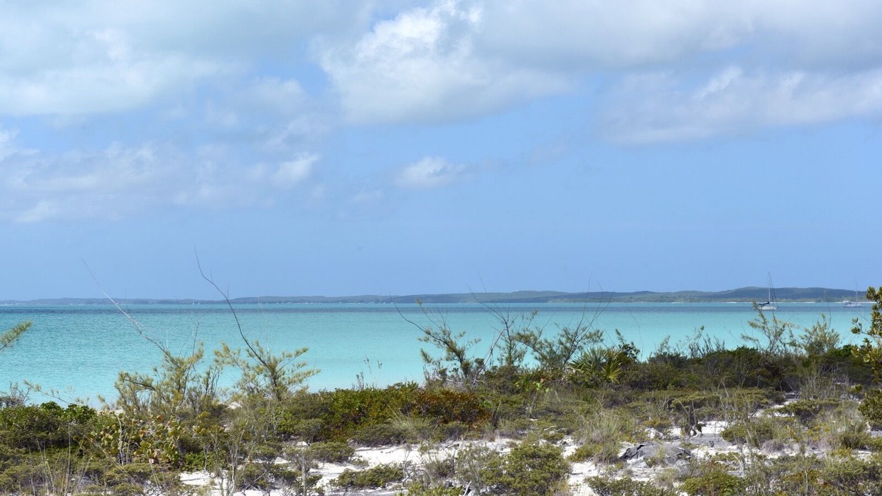 Photo of Others in Old Bight