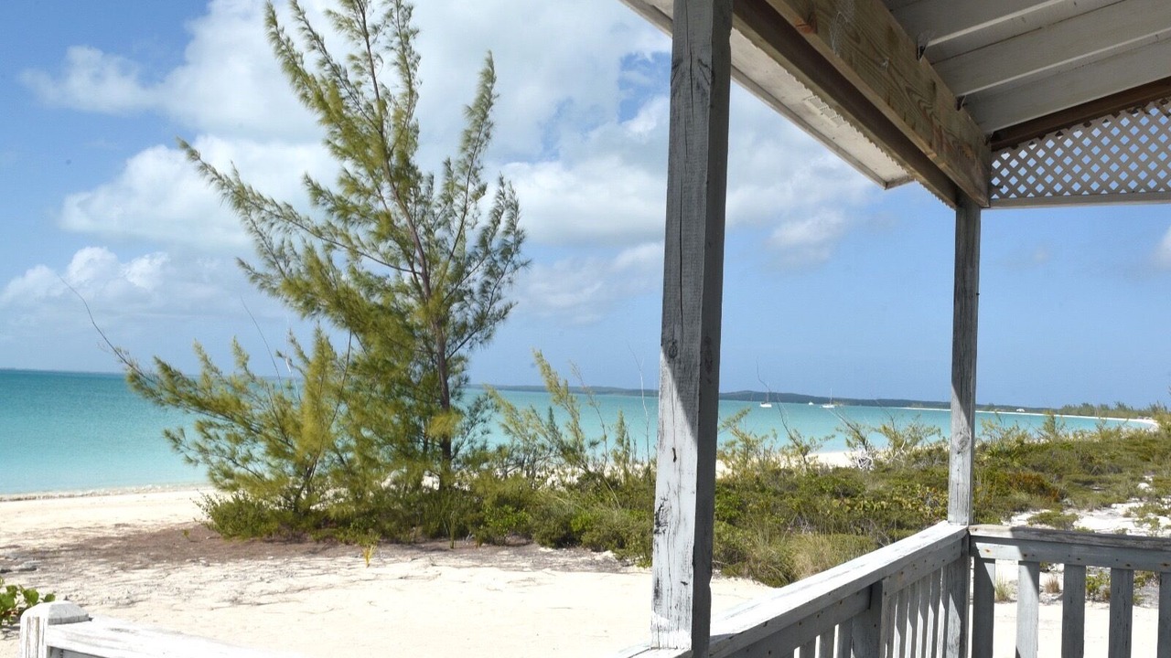 Photo of Others in Old Bight