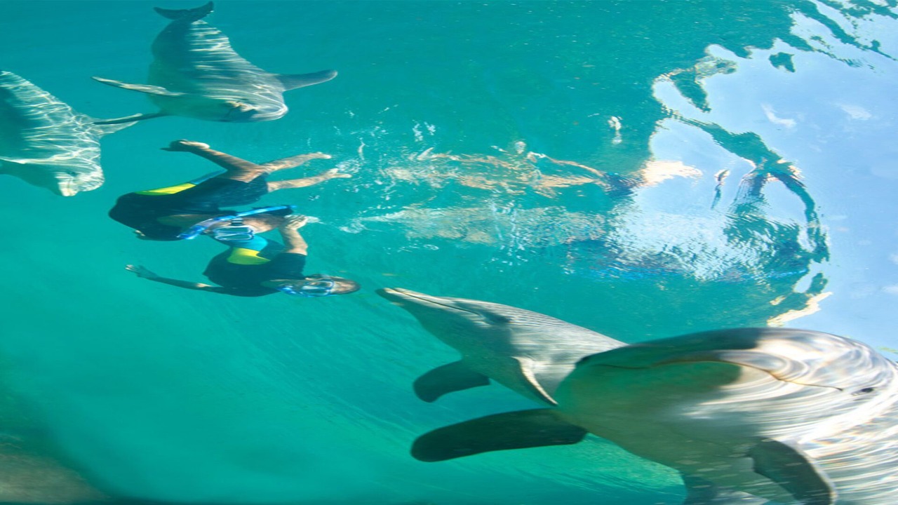 Photo of Outdoor in Paradise Island
