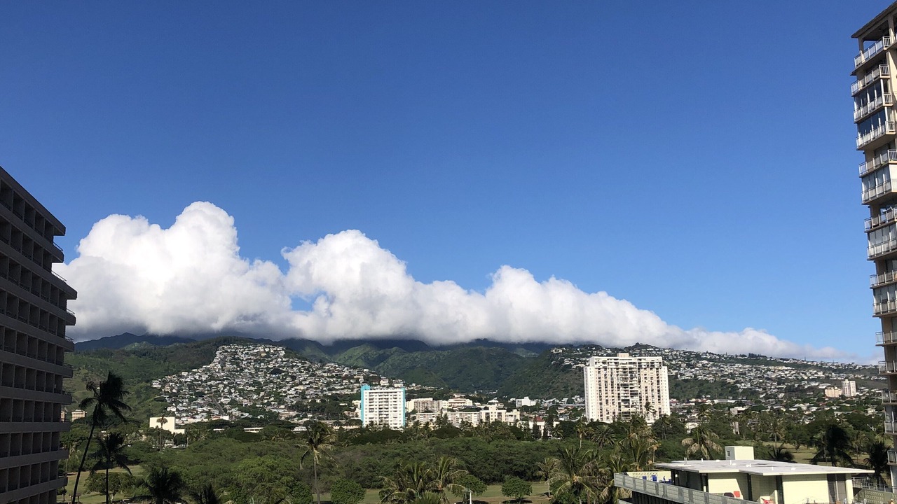 Photo of Others in Waikiki