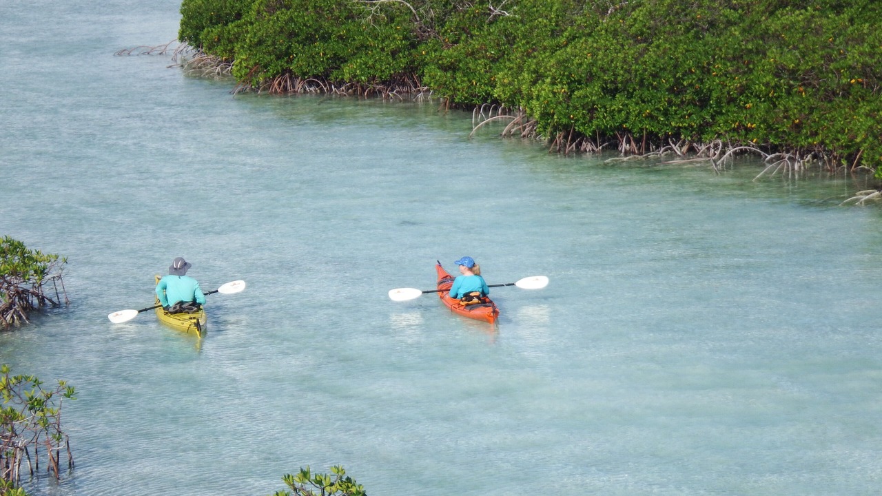 Photo of Others in Hartswell