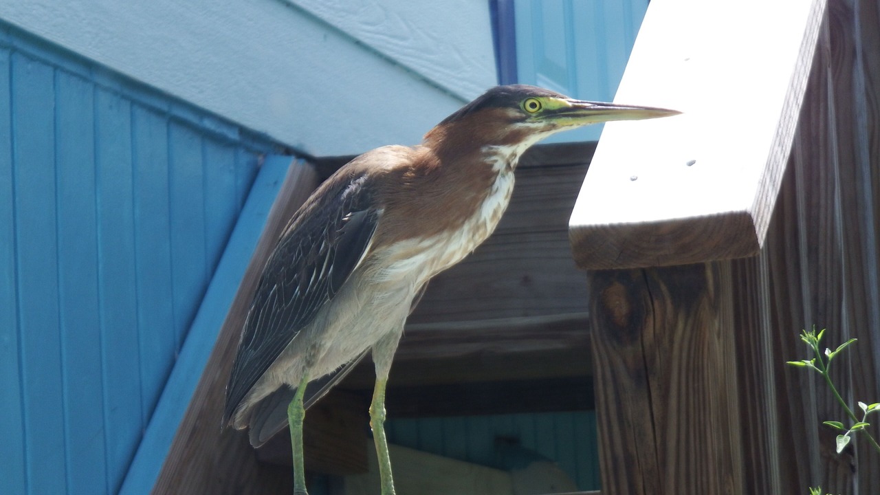 Photo of Others in Hartswell