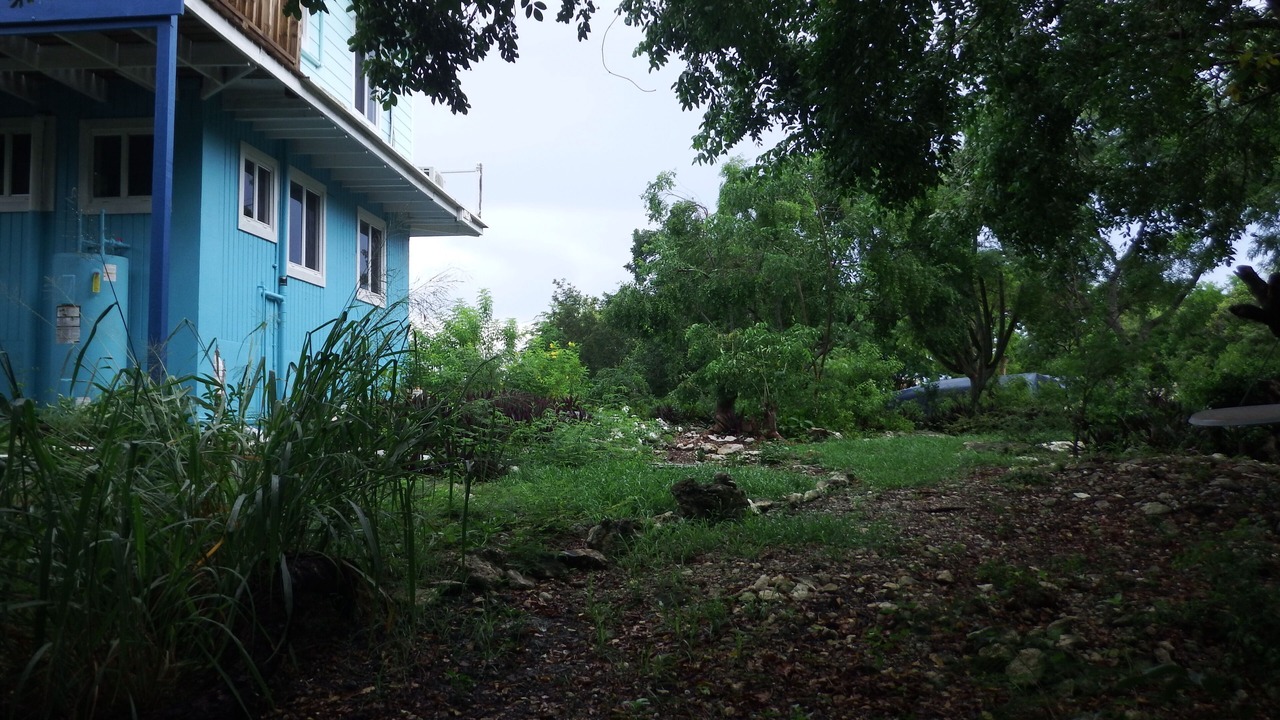 Photo of Outdoor in Hartswell