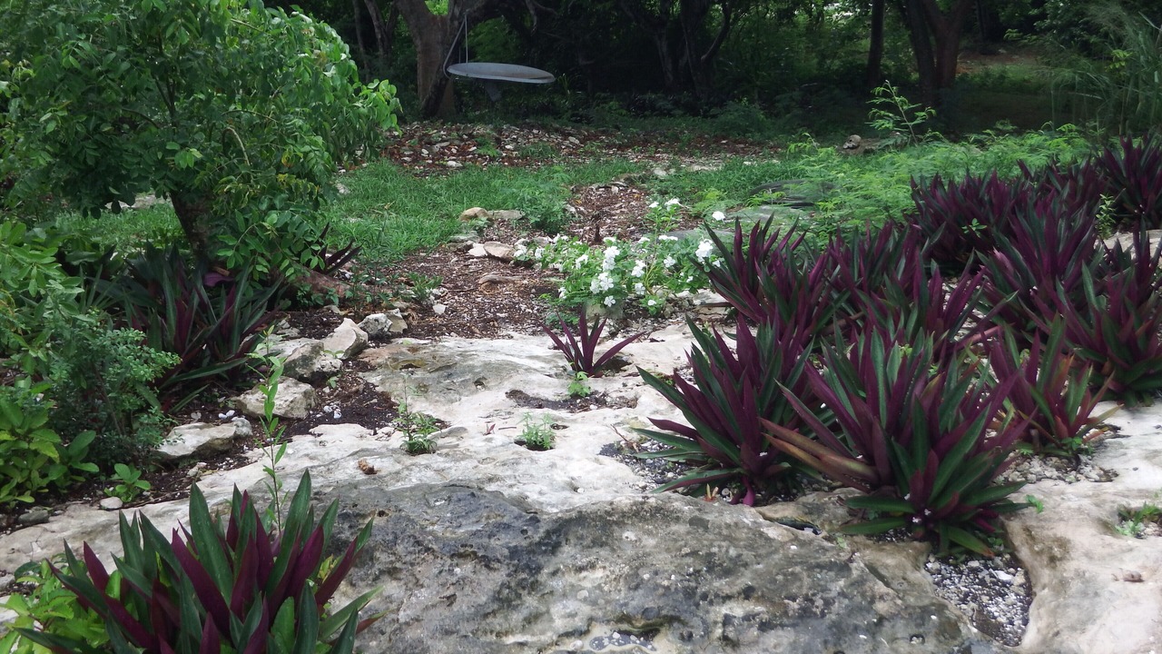 Photo of Outdoor in Hartswell