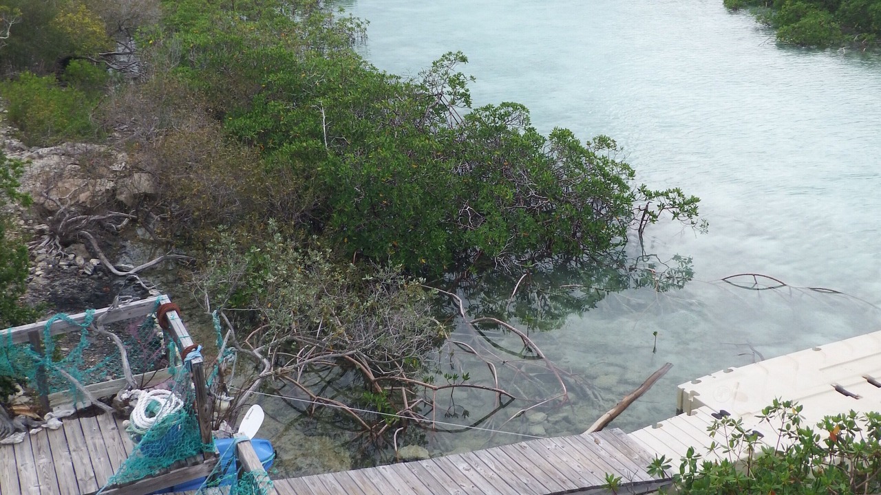Photo of Others in Hartswell