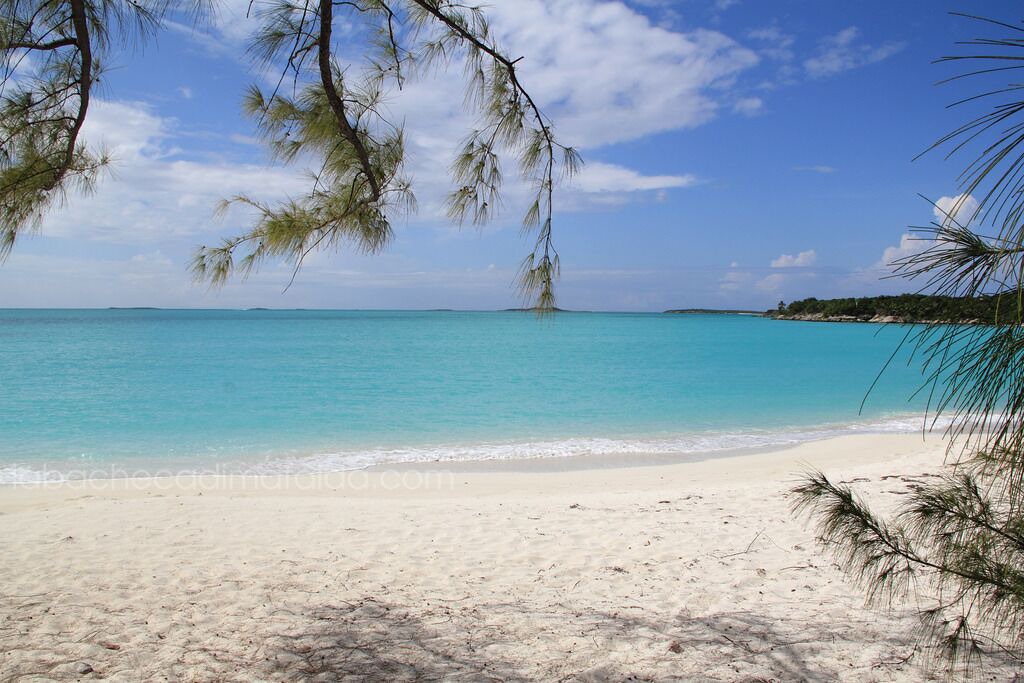 Photo of Others in Staniel Cay