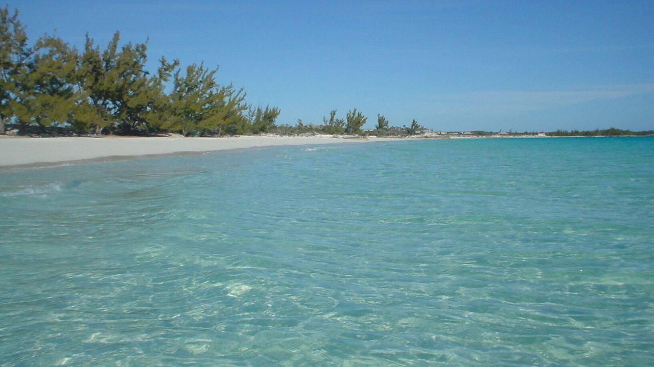 Photo of Others in Pigeon Cay