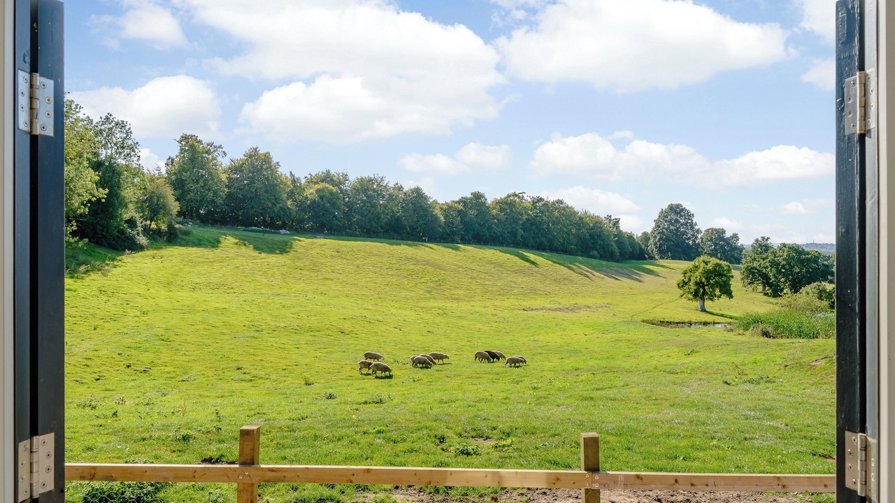 Photo of Others in Alderbury