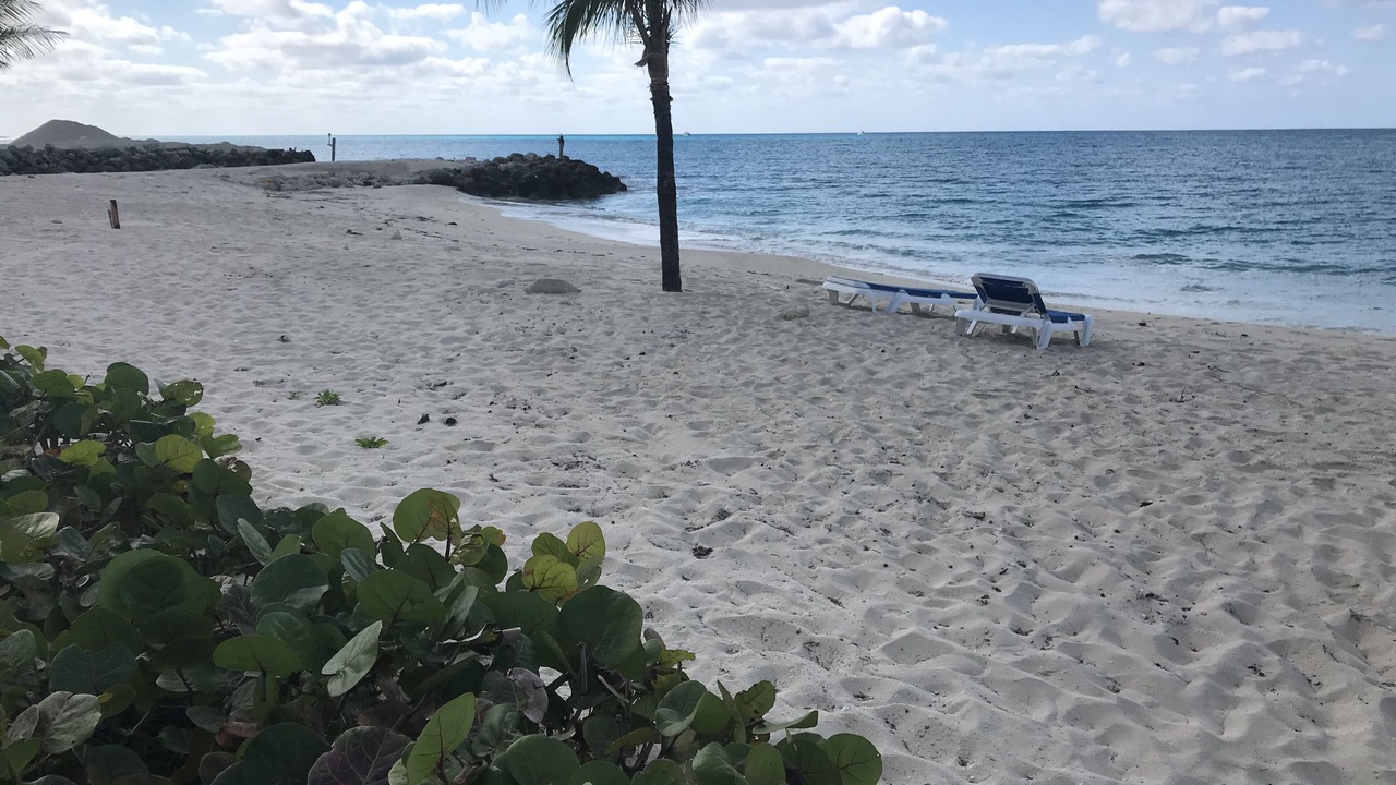 Photo of Others in South Bimini