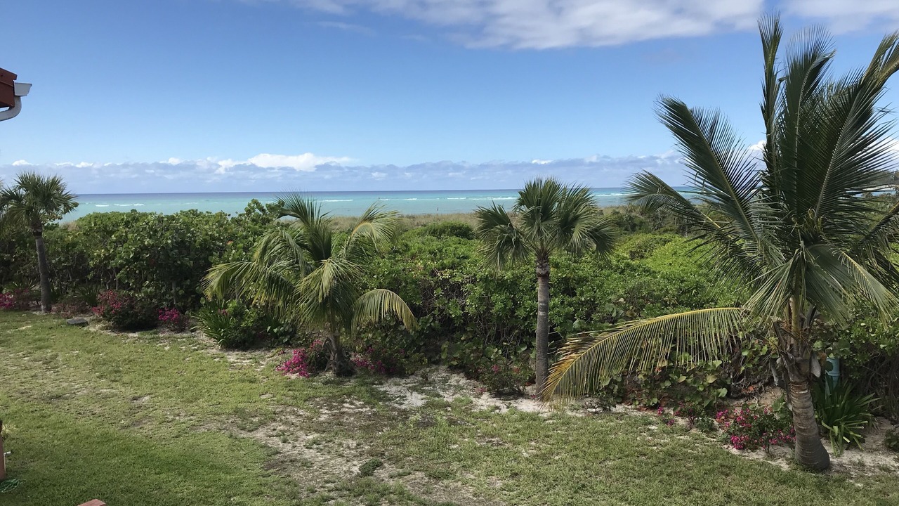 Photo of Outdoor in South Bimini
