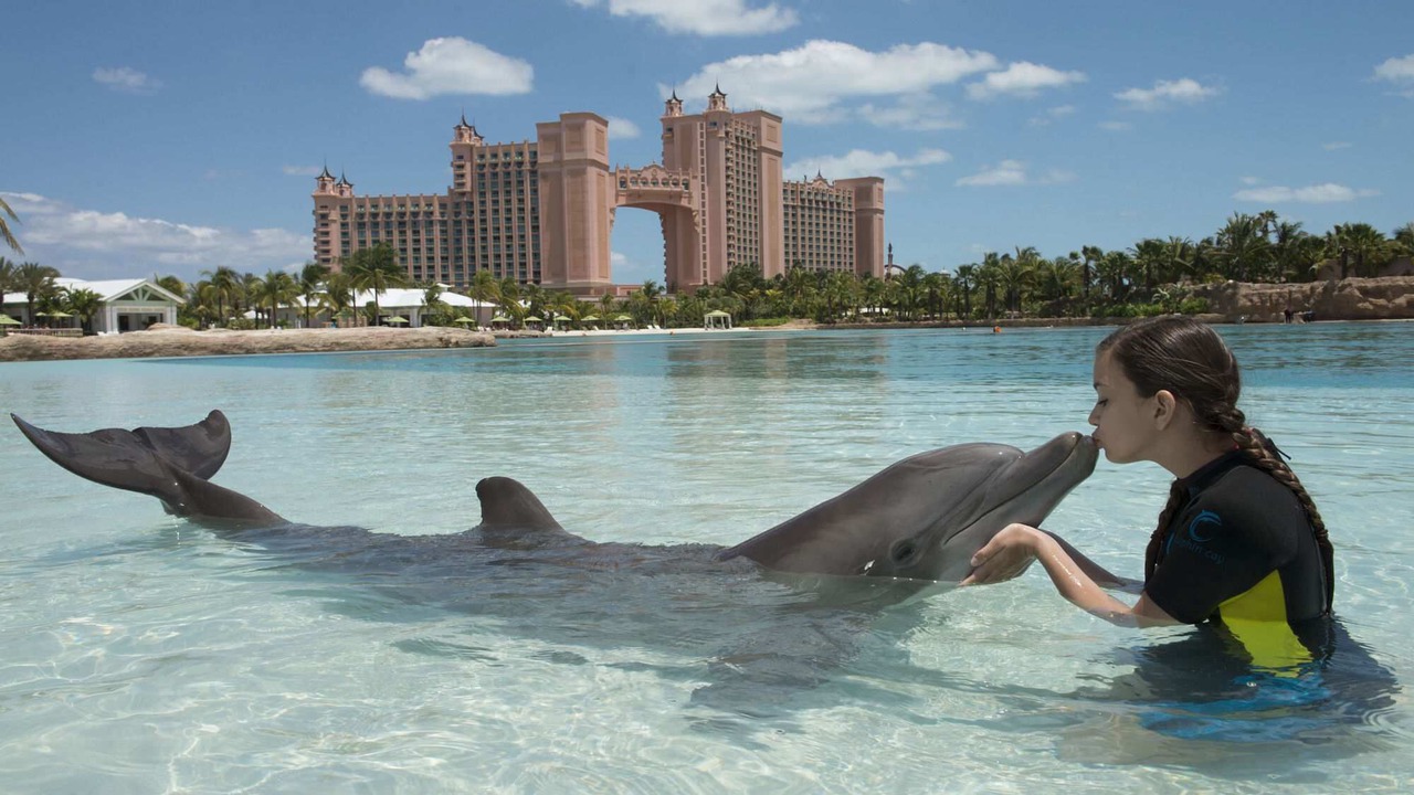 Photo of Outdoor in Paradise Island