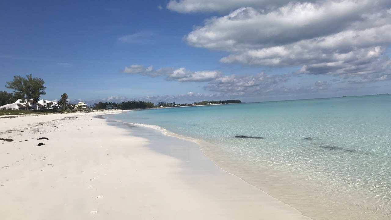 Photo of Others in Great Harbour Cay