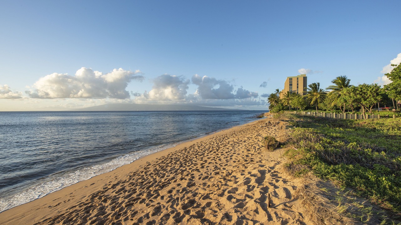 Photo of Others in Honokowai