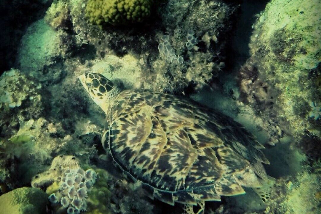 Photo of Others in Great Exuma