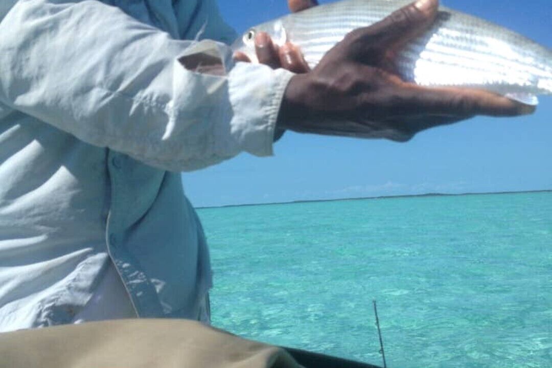 Photo of Others in Great Exuma