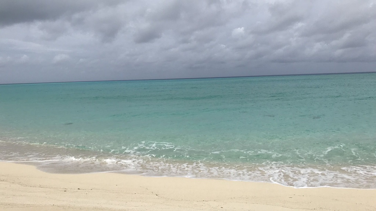 Photo of Others in South Bimini