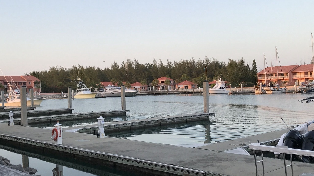 Photo of Others in South Bimini