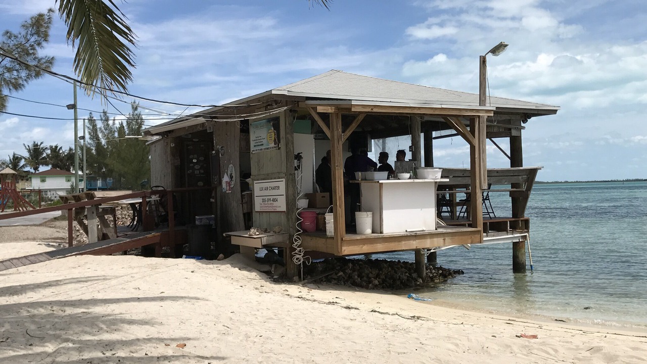 Photo of Others in South Bimini