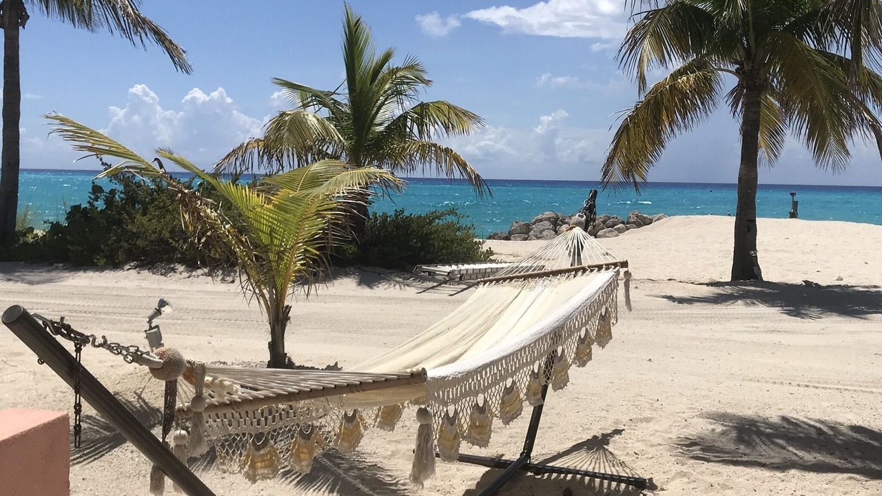 Photo of Others in South Bimini