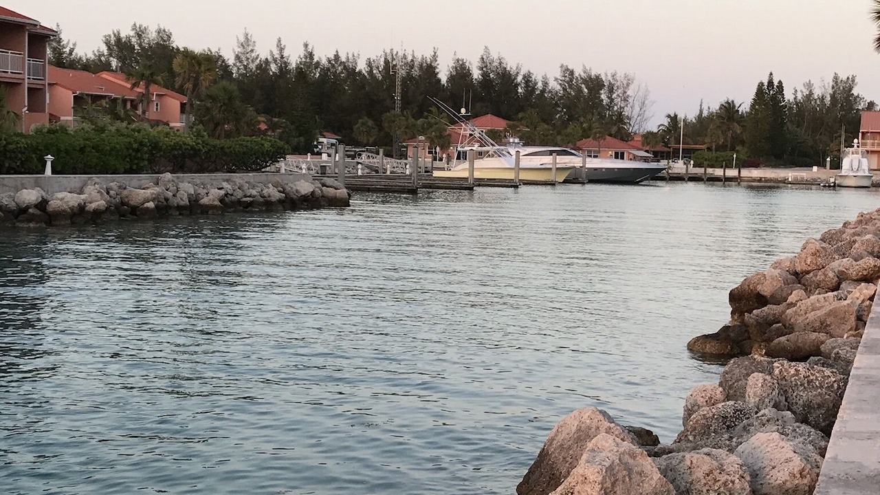 Photo of Others in South Bimini