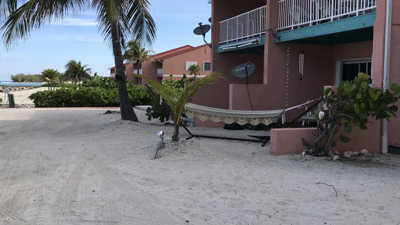 Photo of Others in South Bimini