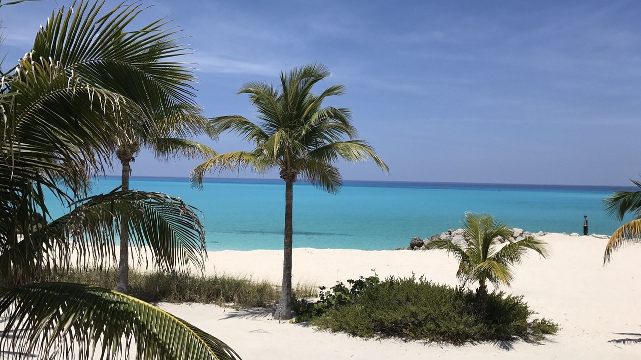 Photo of Others in South Bimini