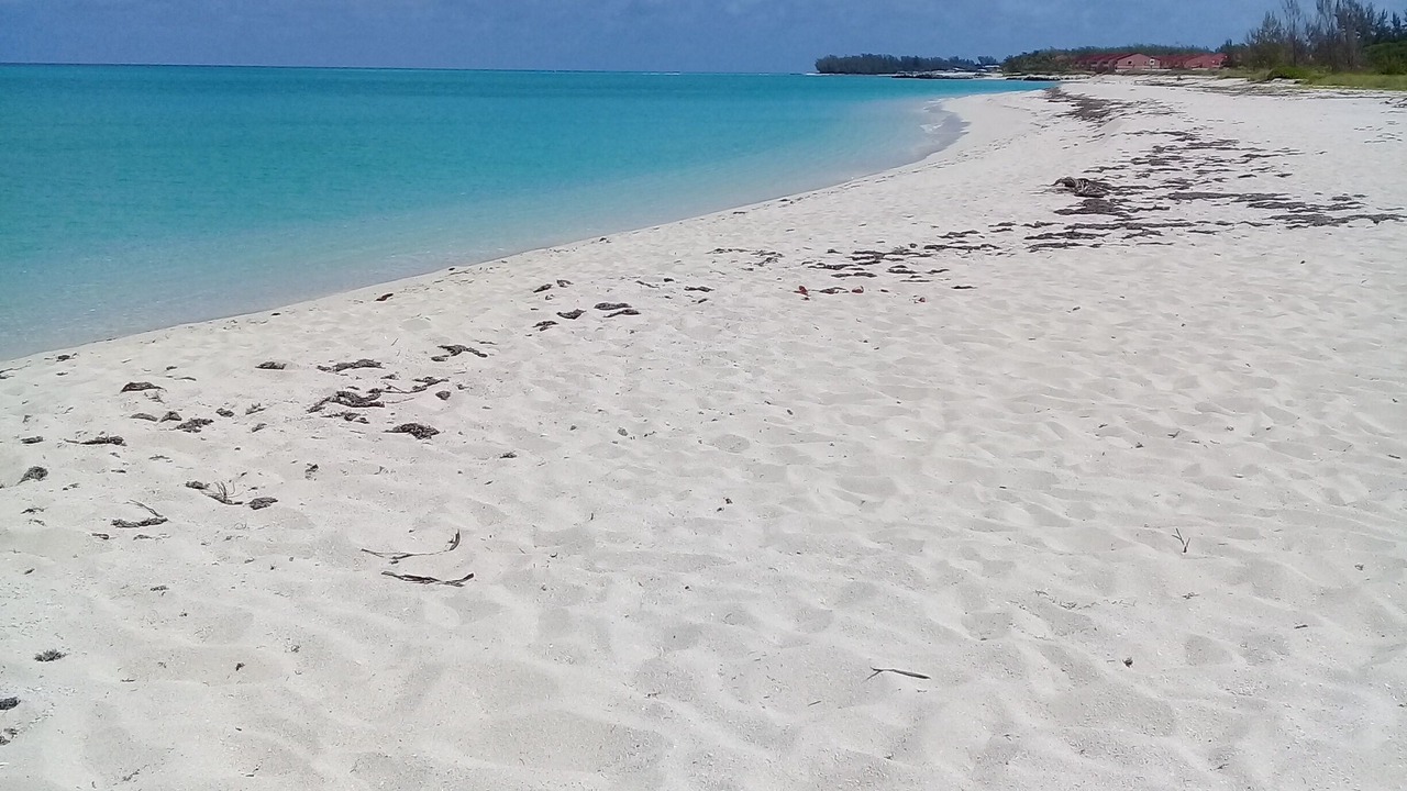 Photo of Others in South Bimini