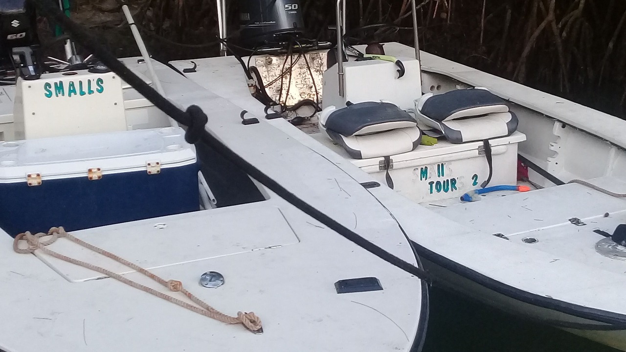 Photo of Others in South Bimini