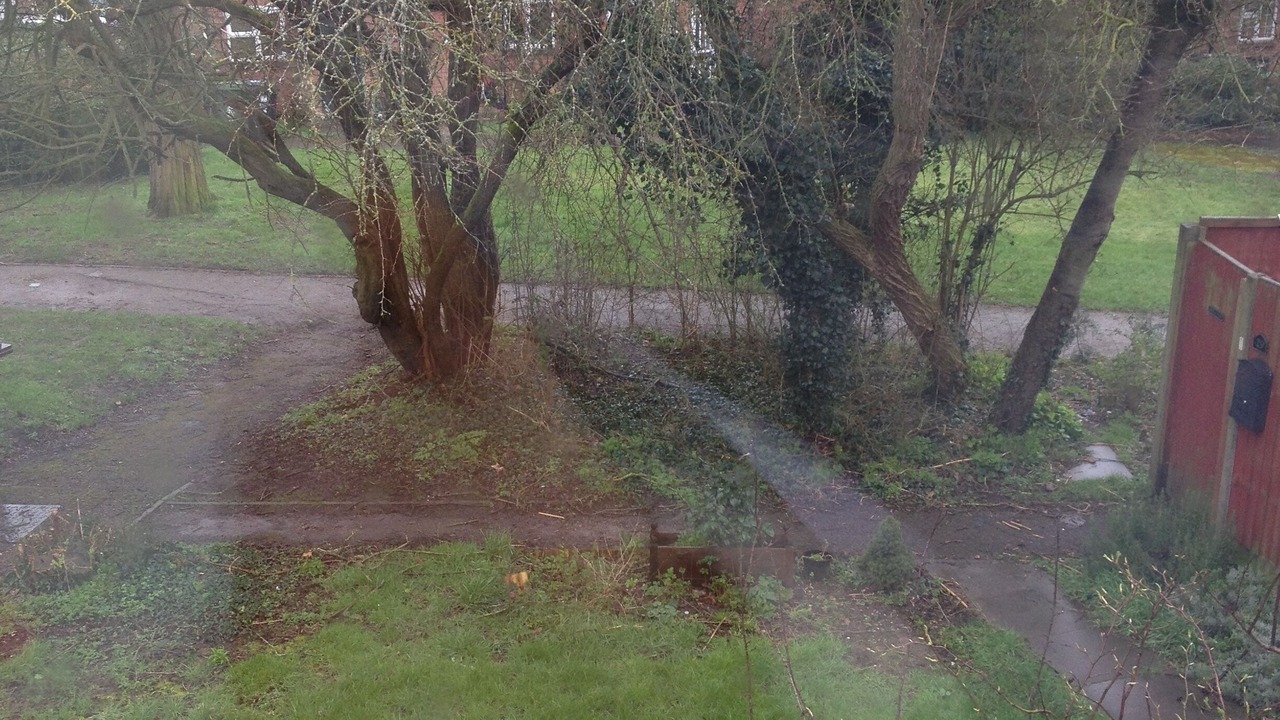 Photo of Others in St Albans