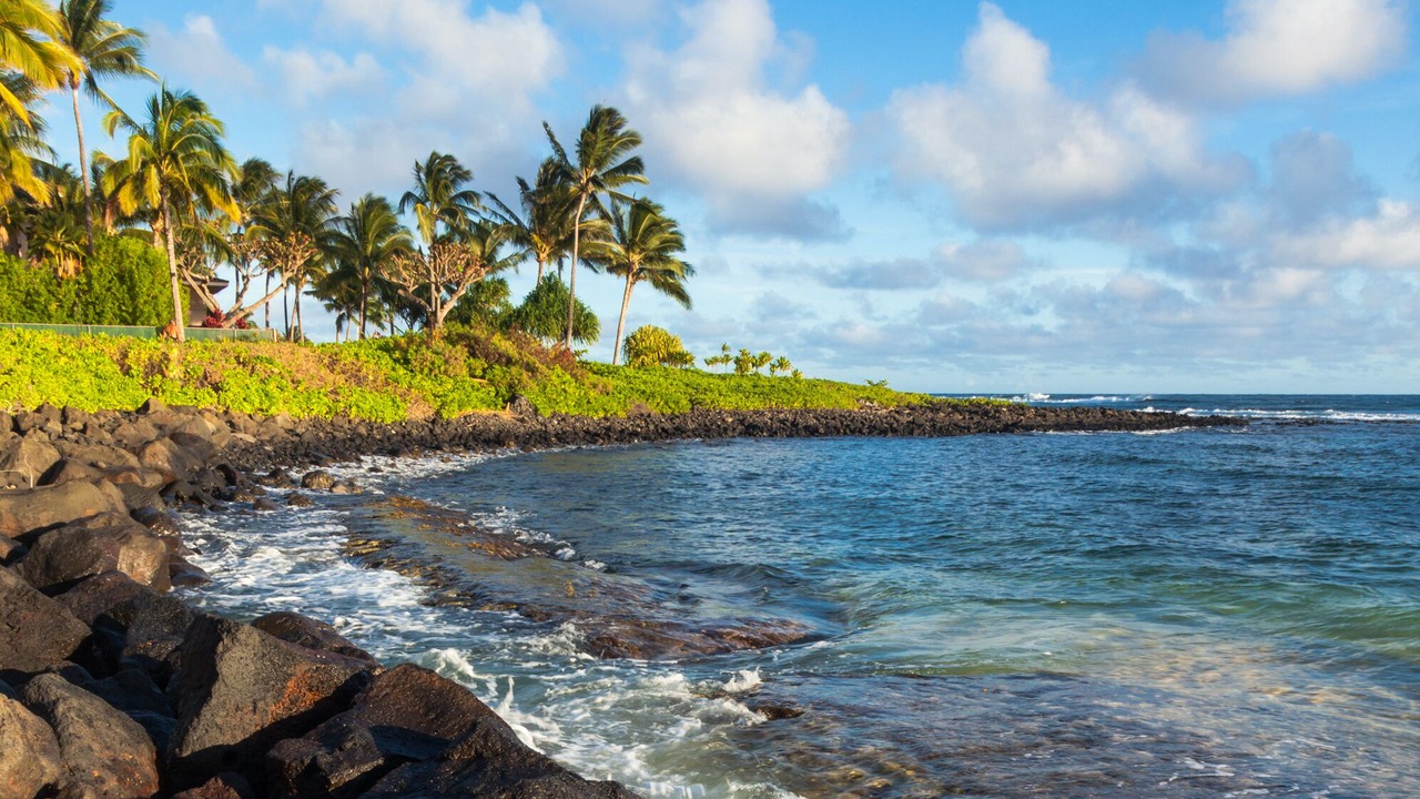 Photo of Others in Wailua