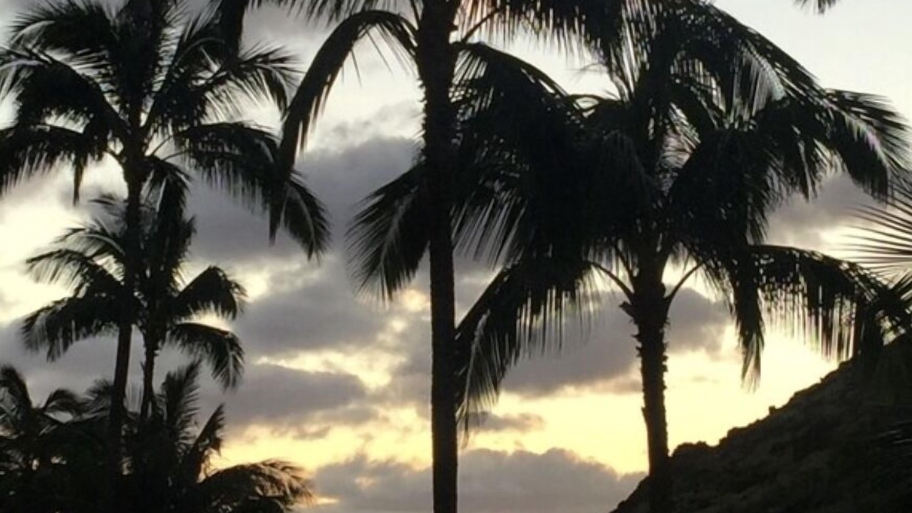 Photo of Others in Makaha