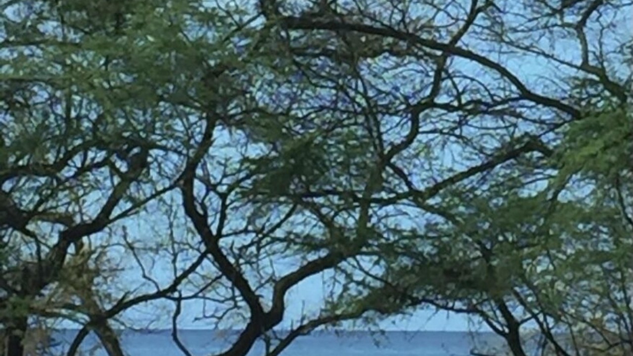 Photo of Others in Makaha