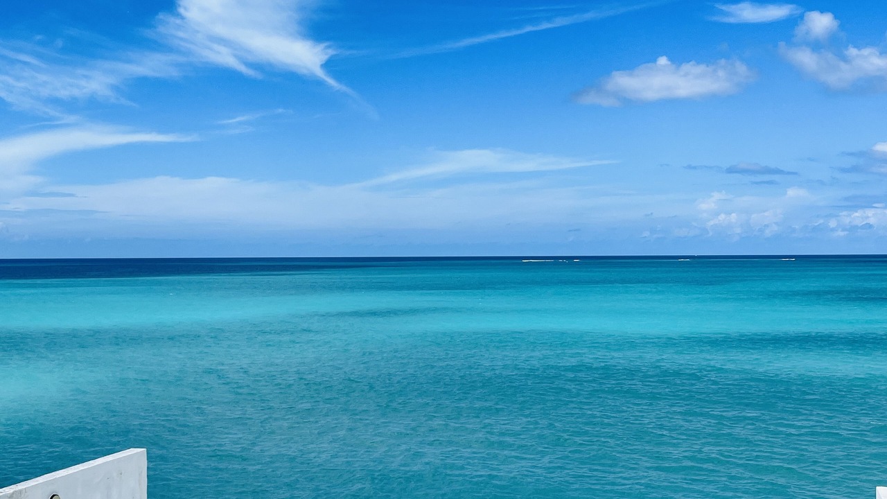 Photo of Others in Nassau