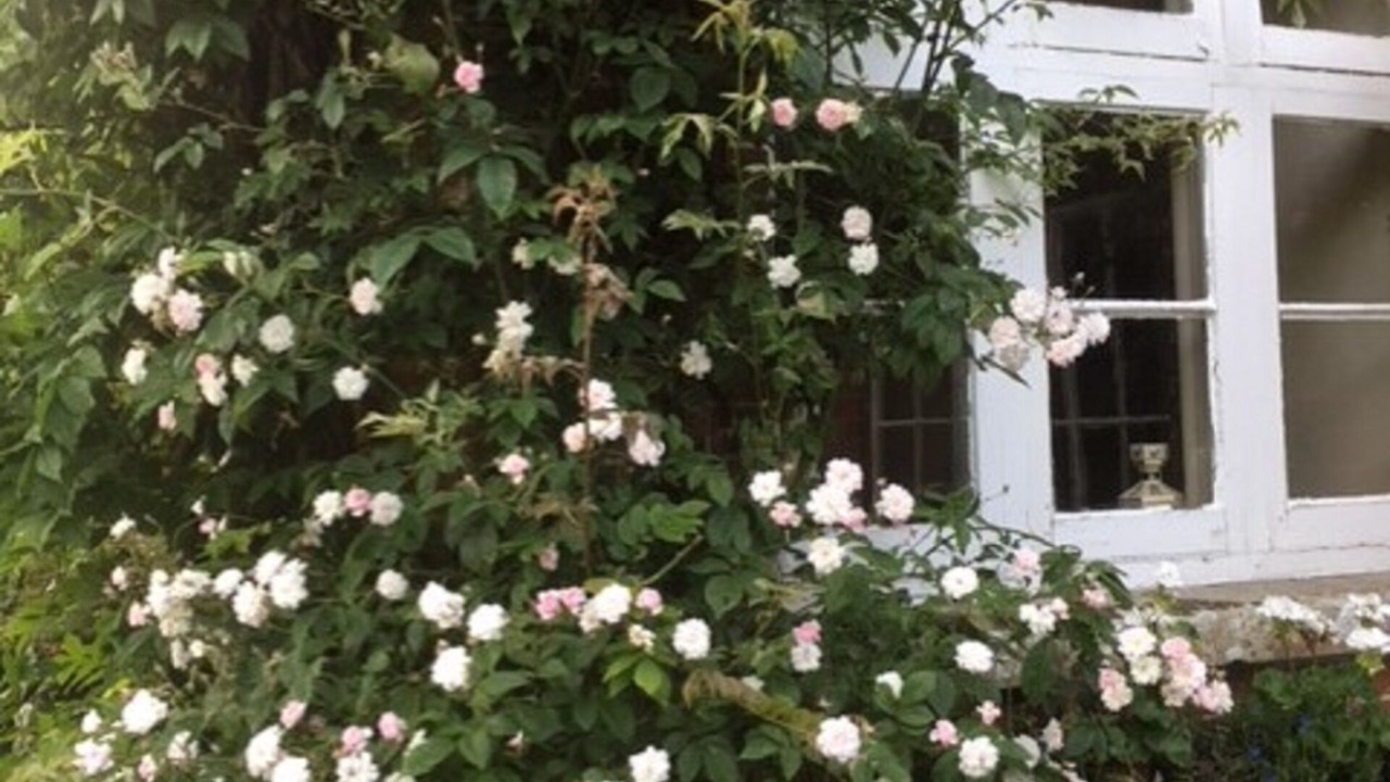 Photo of Bedroom in New Forest District