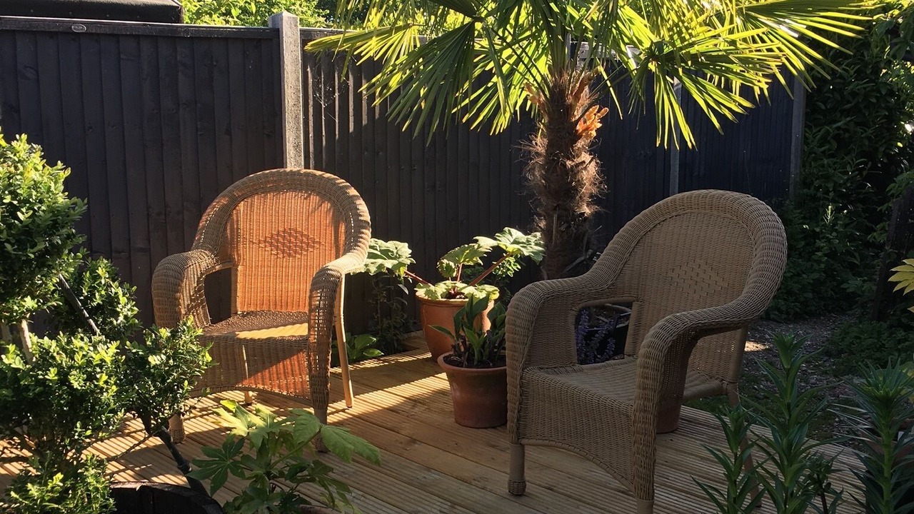 Photo of Outdoor in New Forest District
