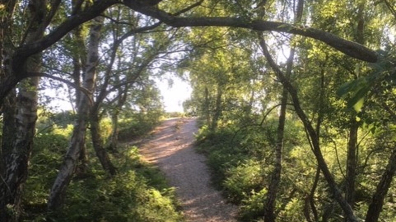 Photo of Others in New Forest District