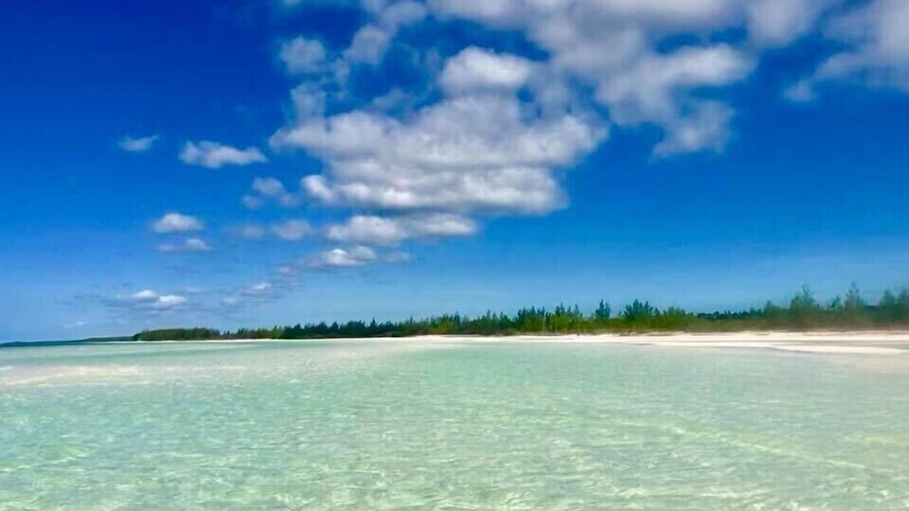 Photo of Others in Pelican Point