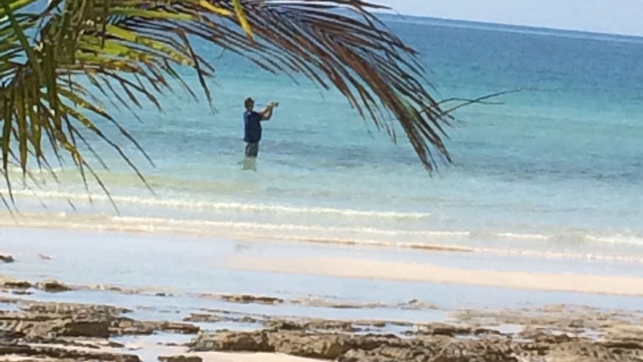 Photo of Others in Pelican Point