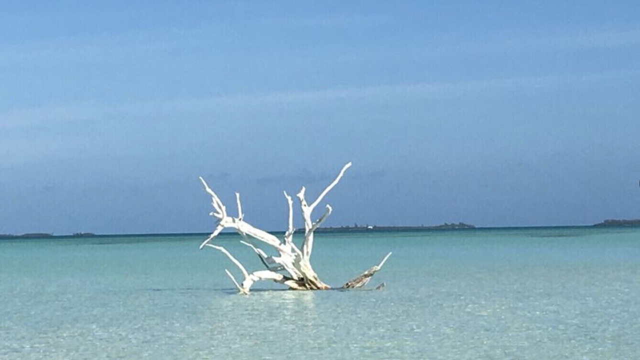 Photo of Others in Triana Shores