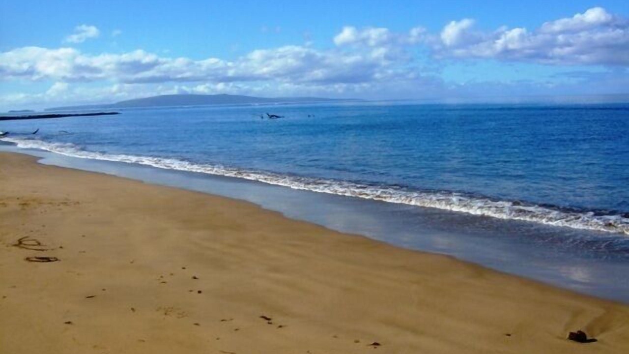 Photo of Others in Kihei