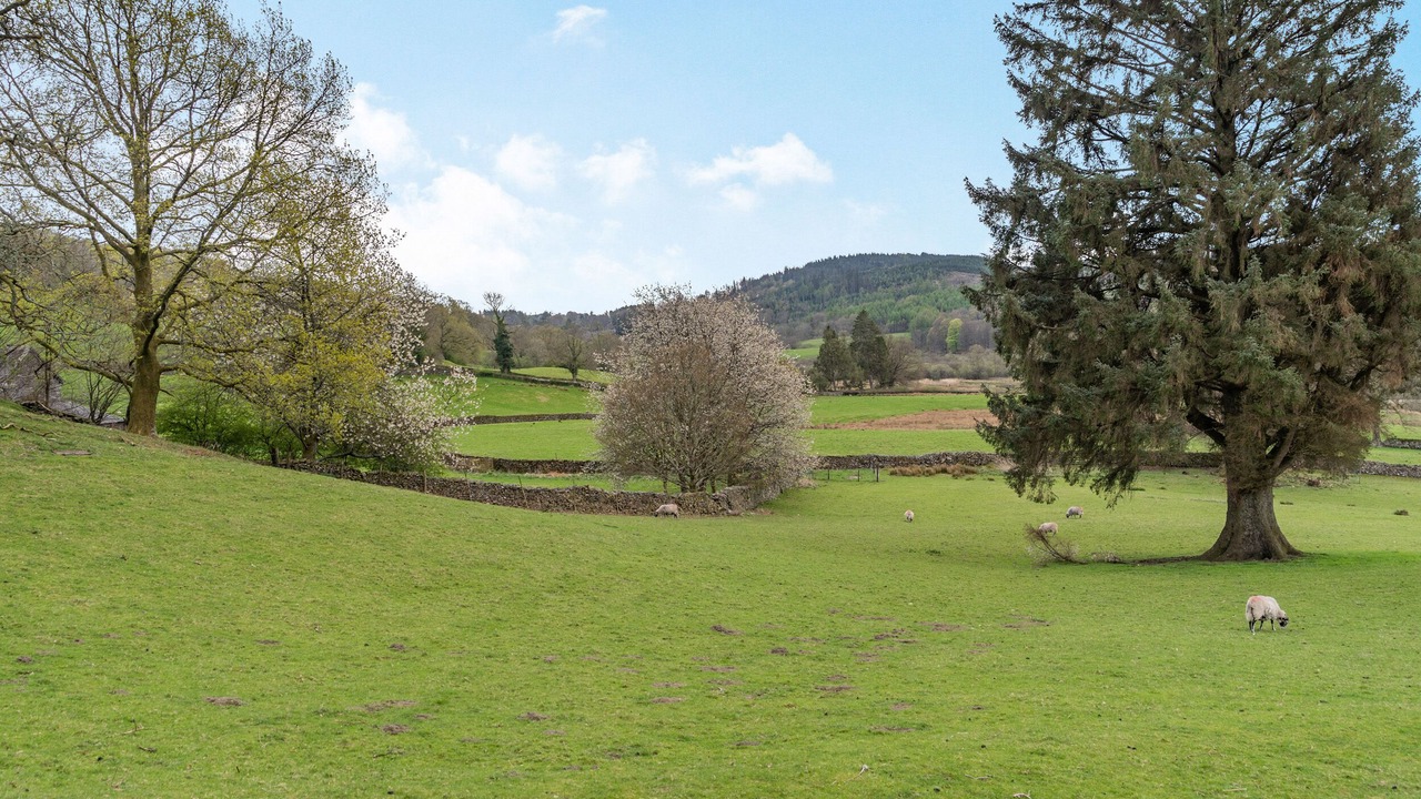 Photo of Others in Near Sawrey