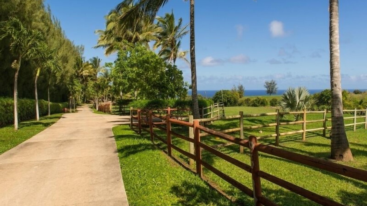 Photo of Outdoor in Kilauea